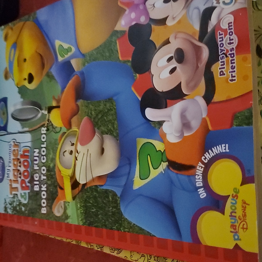 Disney My  FRIENDS TIGGER & POOH Big Fun Coloring Book